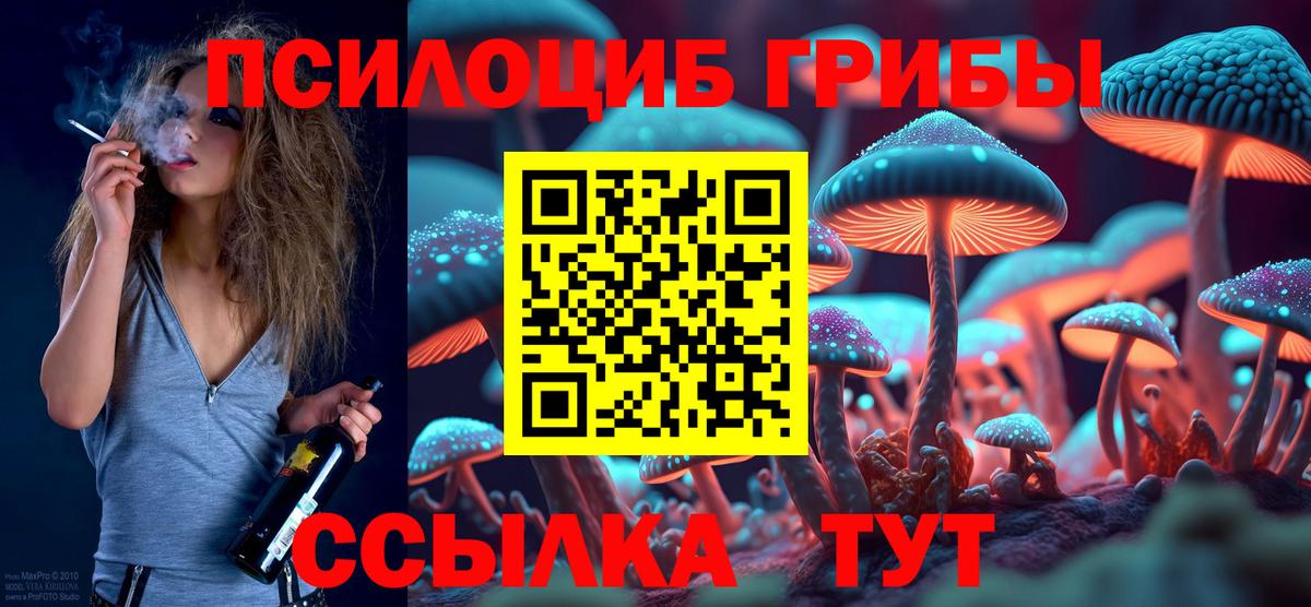 Псилоцибиновые грибы GOLDEN TEACHER  Вход с VPN  Камышлов 